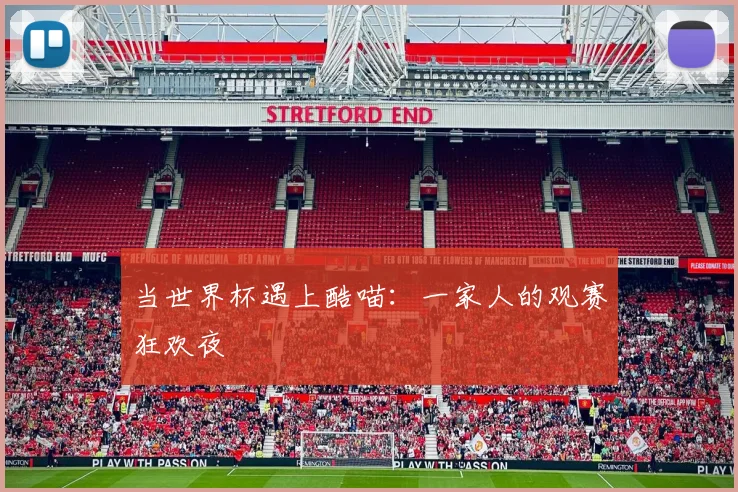 当世界杯遇上酷喵：一家人的观赛狂欢夜
